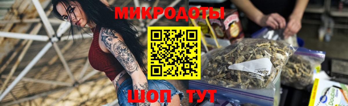 Псилоцибиновые грибы Psilocybine cubensis Электрогорск